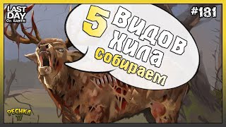 СОБИРАЕМ 5 ВИДОВ ХИЛА! НОВИЧОК ДОБЫВАЕМ ЕДУ! СЕРИЯ 181! - Last Day on Earth: Survival