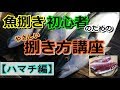 ハマチ（ブリ）のさばき方を初心者向けに解説します【魚屋による捌きかた】