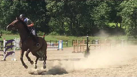 Exmoor Gate Jumping Contest 2020