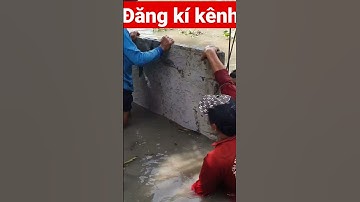 cách làm bờ kè siêu hay #shorts #shortsvideo #shortvideo