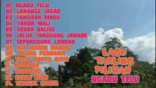 LAGU TARLING PILIHAN || NGADU TELU ||