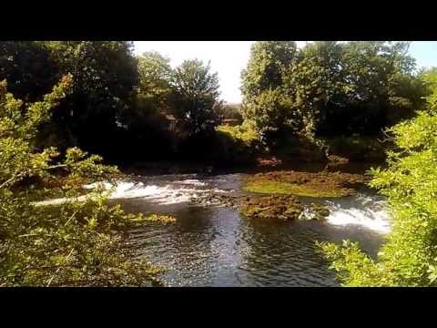 Video: I Irland River Et Ukendt Bæst Får Fra Hinanden - Alternativ Visning