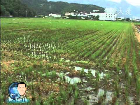 大愛電視DaAiTV_大愛新聞_Dr.Earth_0815_1.wmv