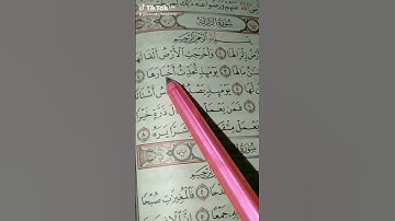 سوره الزلزله بصوت القارئ الشيخ ياسر الدوسري #المصحف