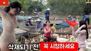 베트남 – 세계에서 가장 죄 많은 나라? 매일 벌어지는 충격적인 진실들 - 여행 다큐멘터리