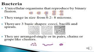 ميكروبيولوجي محاضرة (1) البكتريا والفطريات -  تمريض اسماعيلية  Bacteria & Fungi