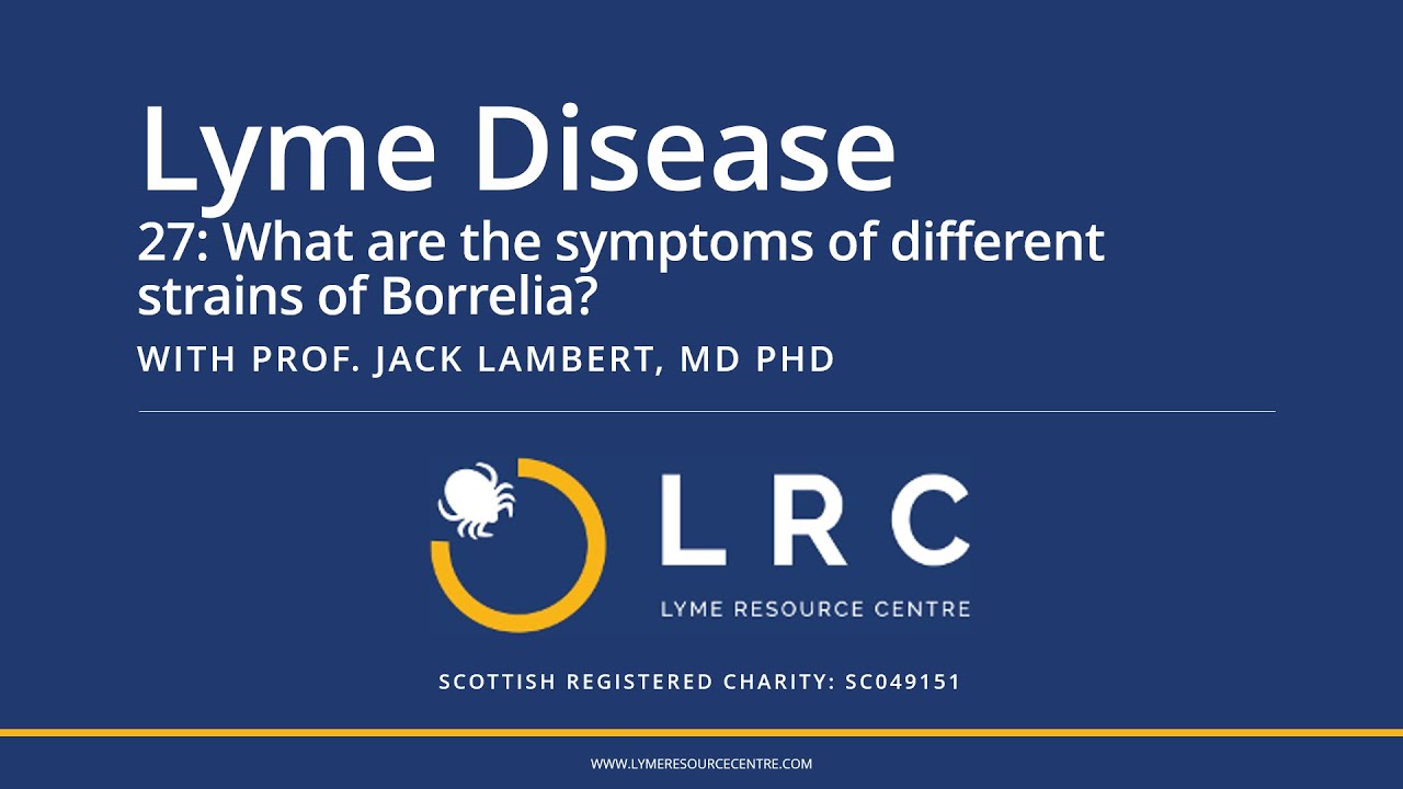 Lyme Disease - Small Bites for GPs 27: What are the symptoms of different strains of Borrelia?