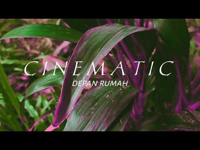 CINEMATIC VIDEO | TANAMAN DEPAN RUMAH | CINEMATIC MODAL HP class=