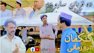 Gankafan da zamani |دہ قربانئ ساروے |Lofer vines |Qurbani, |