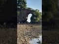 Natural bridge 2 | Natural Bridge | Neil island | Andaman | Andaman and nicobar | Andaman Island