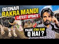 DEONAR BAKRA MANDI DAY 3 LATEST UPDATE 19 May 2026 PAADE ITNA KAM Q HAI AAJ ?