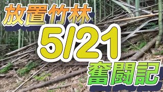 放置竹林奮闘記【サラリーマンが竹を切る日々】2024/05/21