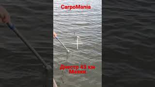 Маяки 43км река Днестр #carpfishing #днестр #маяки
