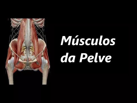 Vídeo: Anatomia, Função E Diagrama Do Músculo Coccígeo - Mapas Do Corpo