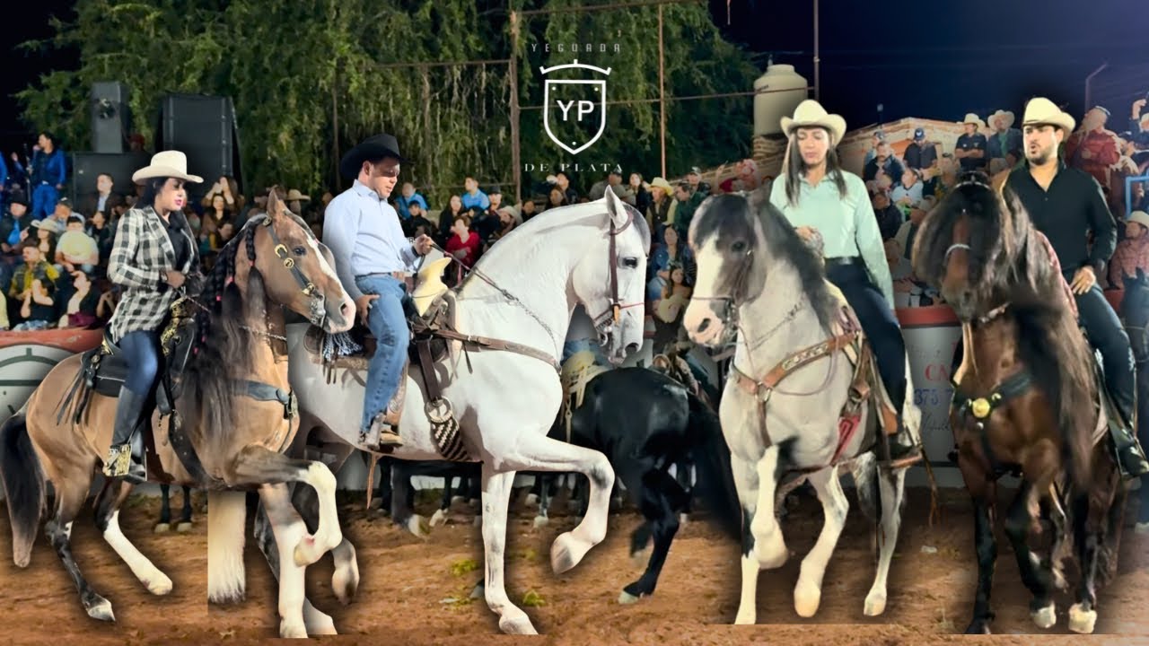 Nos fuimos de fiesta a Juchitlán, con mis amigos de Yeguada de Plata, Gina Bandak y Zulema Ferrer