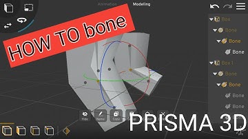 Bone in Prisma 3D. Noob vs Pro