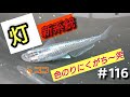 メダカ 図鑑 ＃116【灯 新系統】のらんのんじゃあ 笑