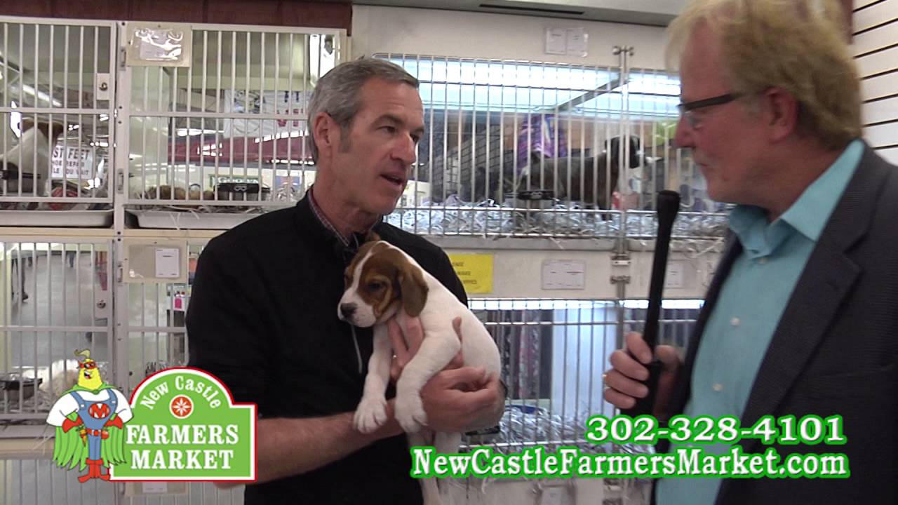 New Castle Farmers Market Holiday Hours New Castle Farmers Market Holiday Hours