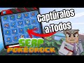 Como capturar TODOS los Pokémon en Serp Pokedrock Addon (Minecraft Bedrock)