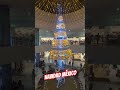 Casi Navidad #gto #canada #turismo