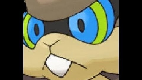 (Crazy!!) Shiny Patrat after 20 Mins. of Hunting! (Pokémon Black 2)