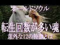 転生回数が多い魂「オールドソウル」の意外な12の特徴チェックリスト あなたはオールドソウル? 転生回数が多い魂の特徴をチェックしてみましょう 見た目 使命 生き方