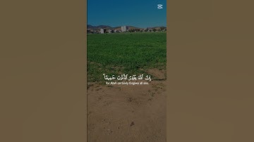 #القرآن_الكريم #المصحف #راحة_نفسية #تلاوات #صلوا_على_النبي