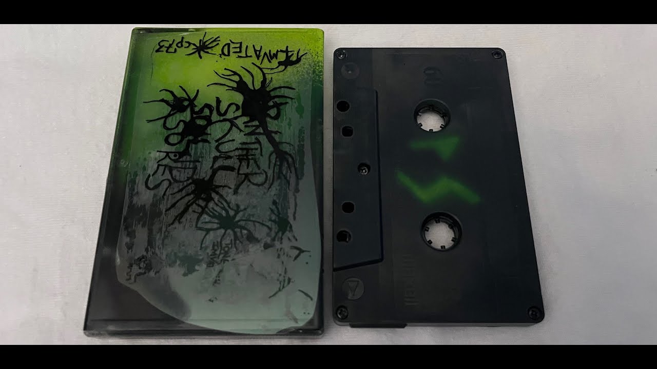 Panther Skull - Solid Sores (Single-Sided C60, Imvated, 2005)