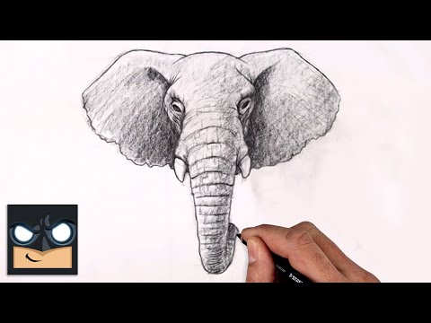 How to Draw a Baby Elephant for Kids Step by Step  YouTube