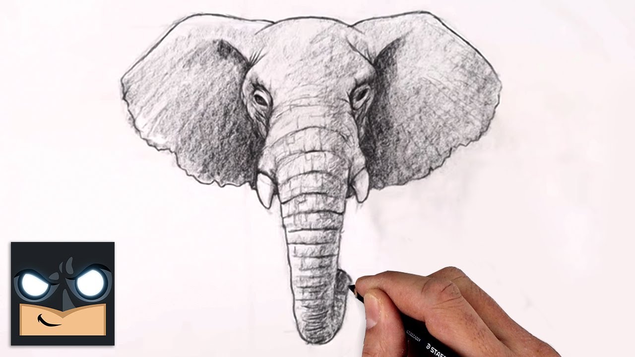 How To Draw An Elephant