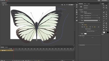 Animate CC how to trace bitmaps to create symbols