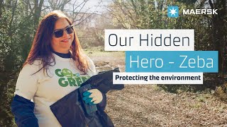 Hidden Heroes - Zeba Boughner