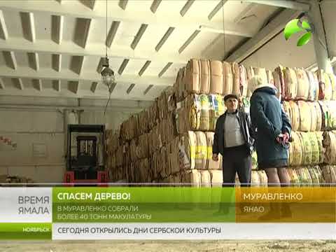 Спасем деревья! В Муравленко собрали 40 тонн макулатуры