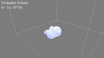 Simulation of Snow