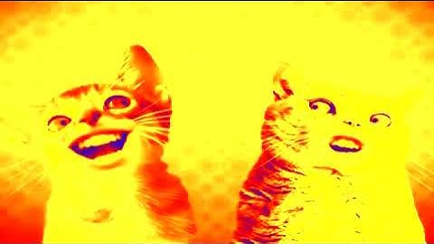 Preview 2 Numa Cat Effects (Mario Buitron