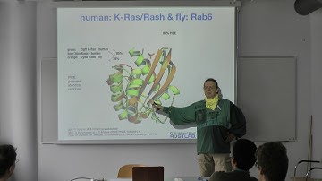 Protein Prediction 2 for Bioinformaticians - Lecture 9, Predict Effect of Sequence Variation