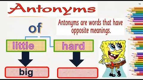 MLZS JHANSI CLASS 3 English LR Chapter 1 The Magic Garden Lecture 2