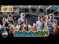 ทำความสะอาดเล้าไก่? Preparing the House for 1500 Hens [ SIRINFARM CHANNEL ] EP.13