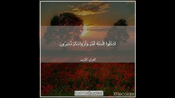 من سورة الزخرف بصوت الشيخ ماهر المعيقلي على قناة الحر 💝💝💝
