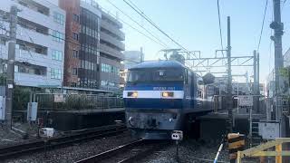 【新塗装】EF210-161牽引貨物列車　魚住駅付近にて6