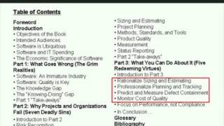 Managing the Black Hole The Executive's Guide to Software Project Risk screenshot 2