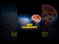 Why Do We Get Goosebumps?
