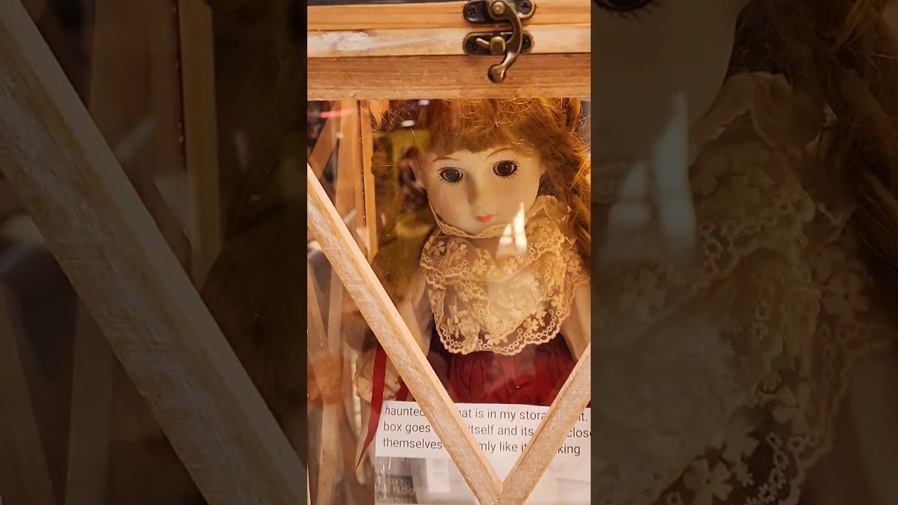 Say Hi! Lily the Haunted Doll #shorts #doll #shortsfeed #haunted