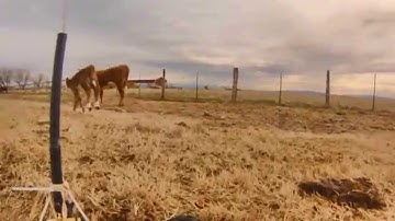 RC Ground Drone UGV FPV long range E-Revo Dragon Link