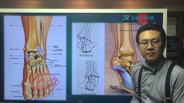 강직성척추염(Ankylosing Spondylitis)의 한의학적 치료 : 검사수치와 함께