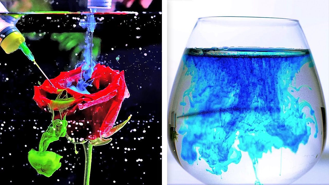 29 EXPERIMENTS that look like pure magic