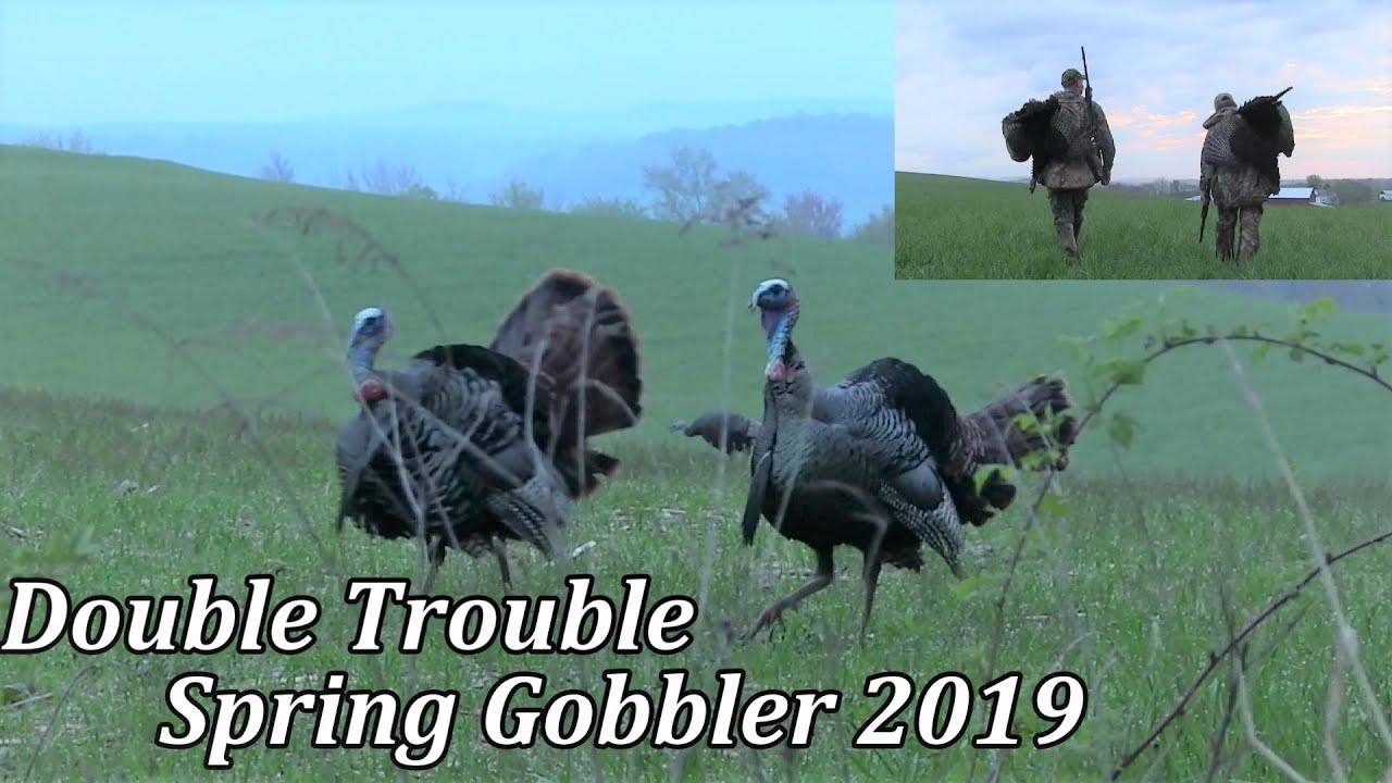 Pennsylvania Spring Gobbler Hunting 2019 Double Trouble! YouTube