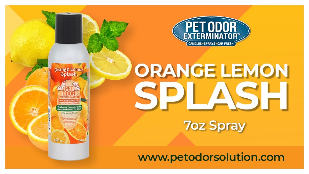 Citrus Splash Spray Air Freshener edu.svet.gob.gt