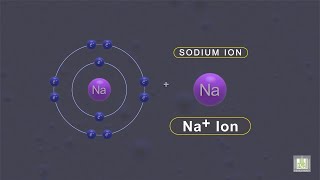 الأيونات  - ما هو الايون - Ions