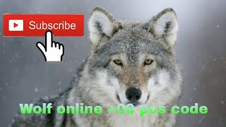Wolf online [ how to be +08 pos? ] (READ DESC)